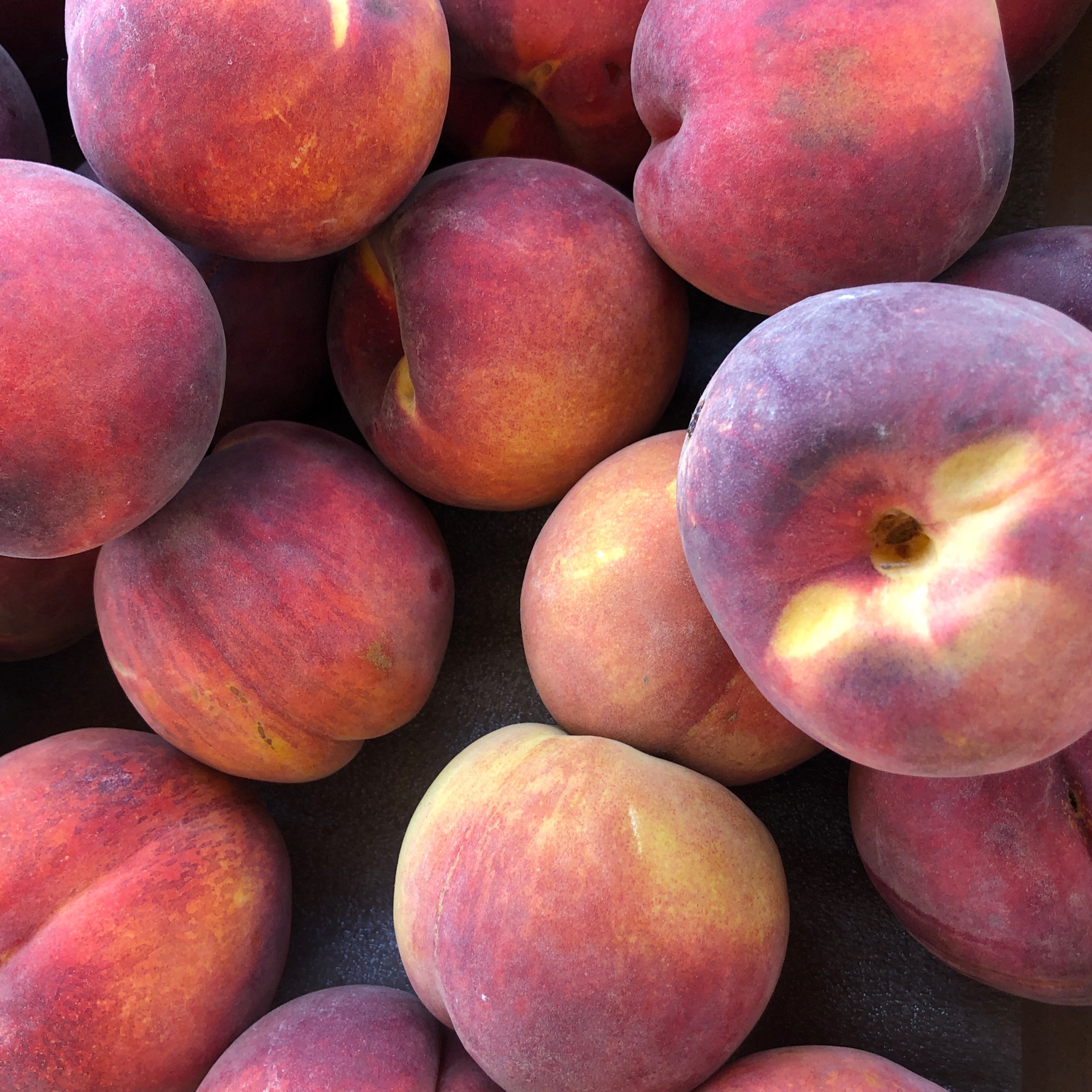 Yakima Peaches The Vegetable Man Produce